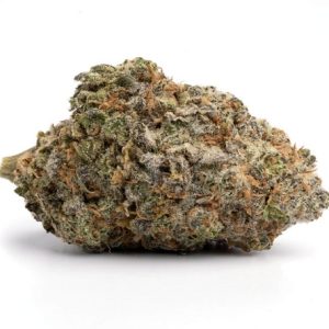 Blue Cheese Indica Strain Victoria