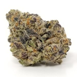 Mimosa Marijuana Northern Territory