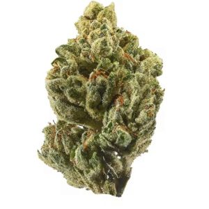 OG Kush Hybrid Strain Brisbane