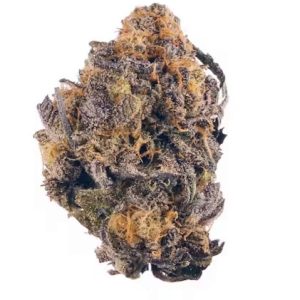 Purple Kush Indica Strain