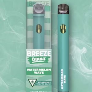 Watermelon Wave Disposable Vape